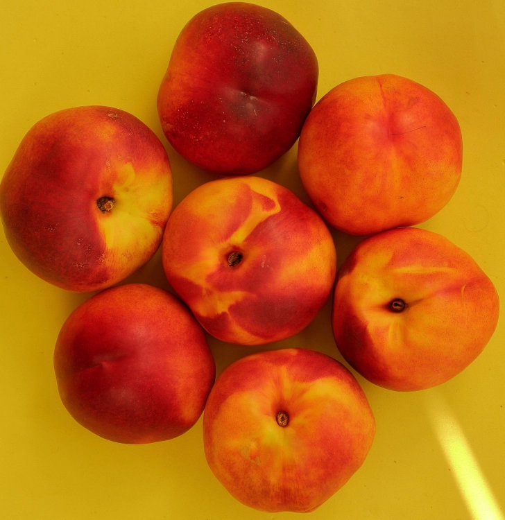 pexels-msaimakin-39449770.jpg