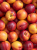 Tło folder inne (1667 x 2222 px) (1).png