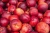 nectarines-1143032_1280.jpg