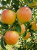Tło folder inne (1667 x 2222 px) (1).png