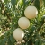 Gemini_Generated_Image_iryvsniryvsniryv.jpeg