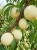 Tło folder inne (1667 x 2222 px) (1).png