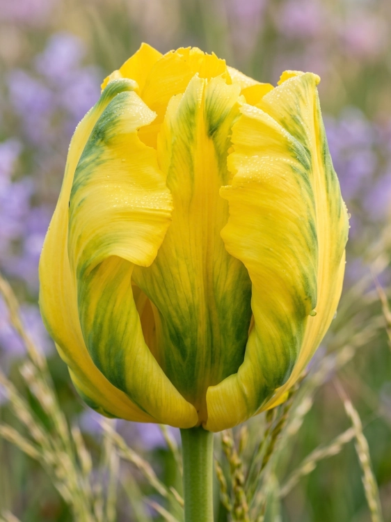 Tło folder inne (1667 x 2222 px) (1).png