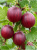 Tło folder inne (1667 x 2222 px) (1).png