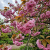 Gemini_Generated_Image_f2aqbuf2aqbuf2aq.png