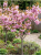Tło folder inne (1667 x 2222 px) (1).png