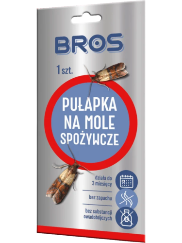 Tło folder inne (1667 x 2222 px) (1667 x 2222 px) (1).png