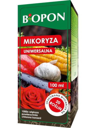 Tło folder inne (1667 x 2222 px) (1667 x 2222 px) (1).png