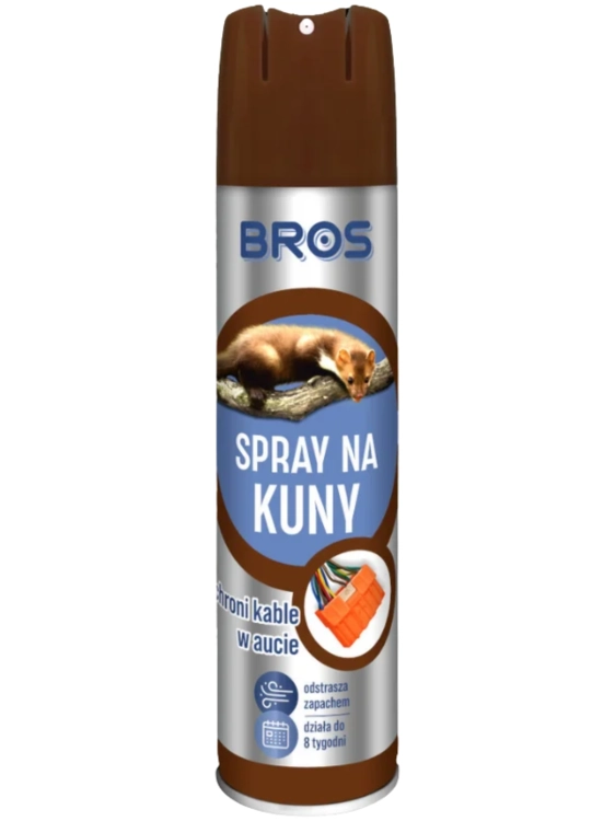 Tło folder inne (1667 x 2222 px) (1667 x 2222 px) (1).png