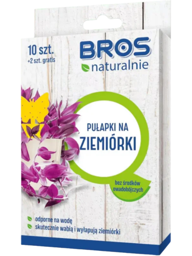 Tło folder inne (1667 x 2222 px) (1667 x 2222 px) (1).png