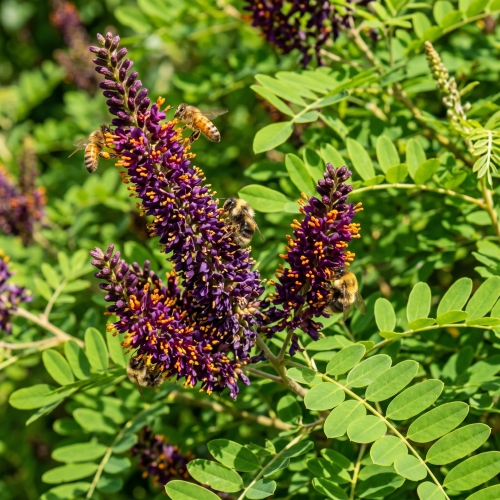 Gemini_Generated_Image_5p1ia35p1ia35p1i.jpeg