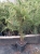 Messenger_creation_84224FB6-855E-41CB-8307-EE4FA1CFF144.jpeg
