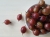 gooseberry-2623462_1920.jpg