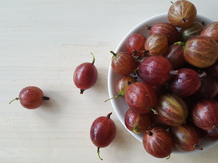gooseberry-2623462_1920.jpg