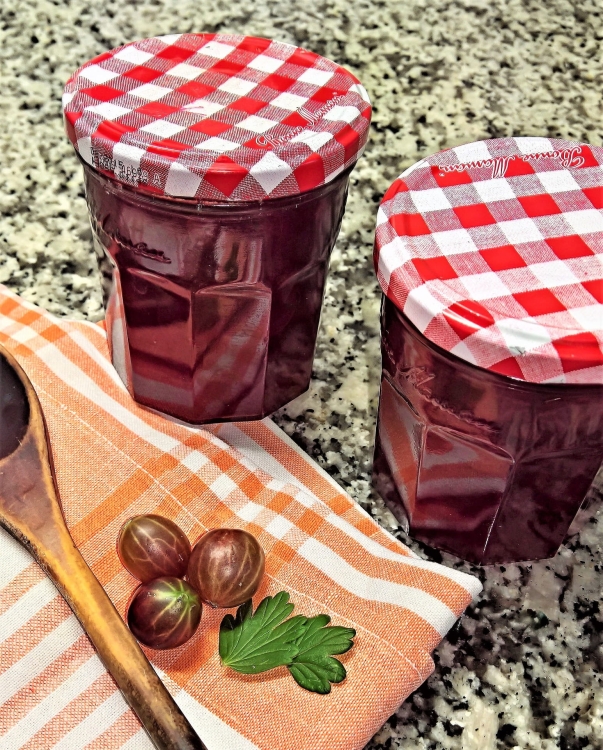 jam-2504068_1920.jpg