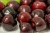 cherry-3751329_1920.jpg