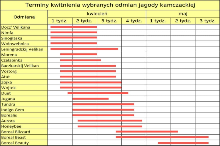 terminy kwitnienia.jpg