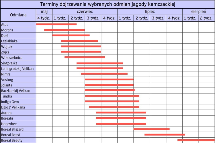 terminy dojrzewania.jpg