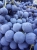 wine-3678041_1920.jpg