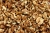 nuts-3879142_1920.jpg