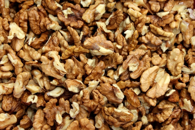 nuts-3879142_1920.jpg