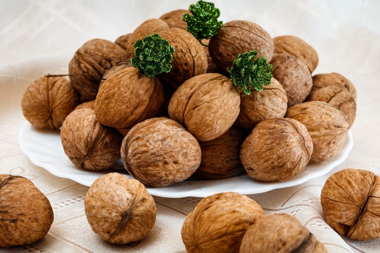 walnuts-4792843_1920.jpg