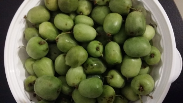 20190922_194756.jpg