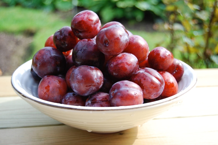 plum-g7ad359821_1920.jpg