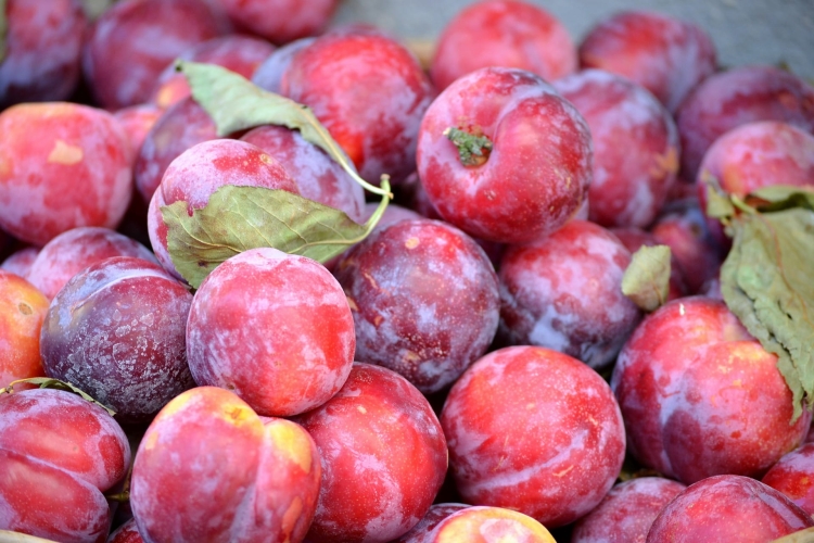 plum-g7b2a32663_1920.jpg