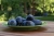 plums-1631792_1920.jpg