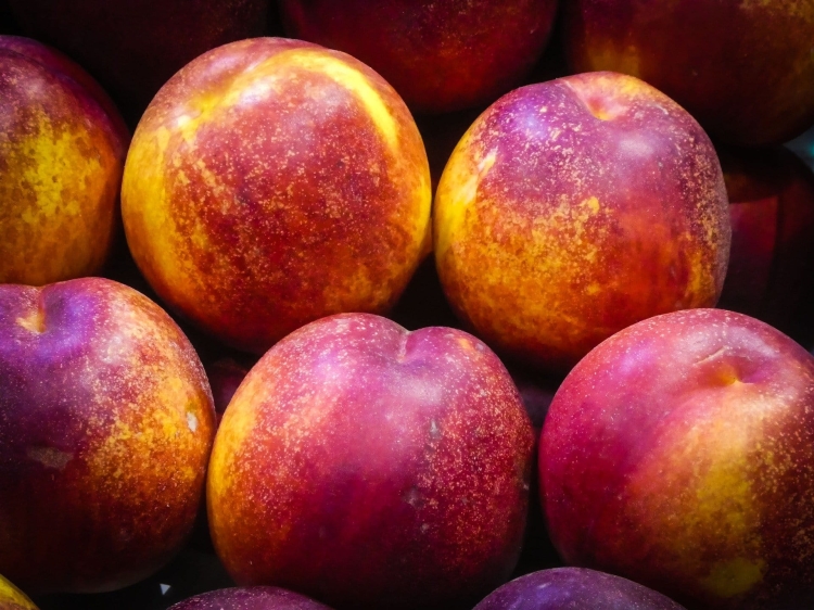 fruit-2771521_1920.jpg