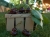 cherries-1476067_1280.jpg