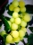 grape-g788f6b23f_1280.jpg