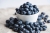 bilberries-2559051_1920.jpg