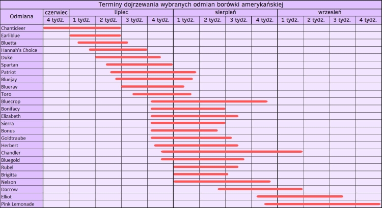 terminy dojrzewania.jpg