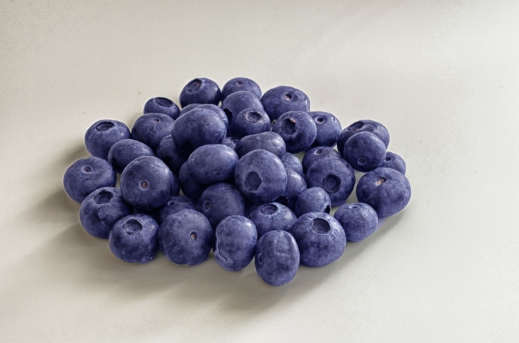 blueberries-1638531_1920.jpg