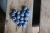 blueberries-2484403_1920.jpg