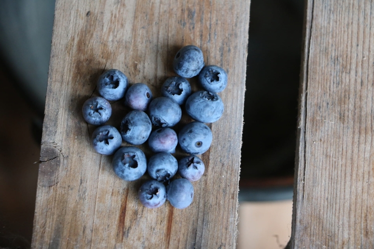 blueberries-2484403_1920.jpg