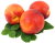 nectarines-2281808_1920.png