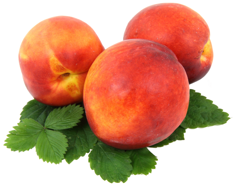 nectarines-2281808_1920.png