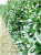 IMG-20250227-WA0006.png