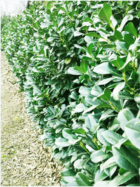 IMG-20250227-WA0006.png