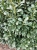 IMG-20250227-WA0003.jpeg