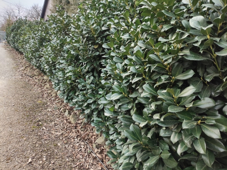 IMG-20250227-WA0005.jpeg