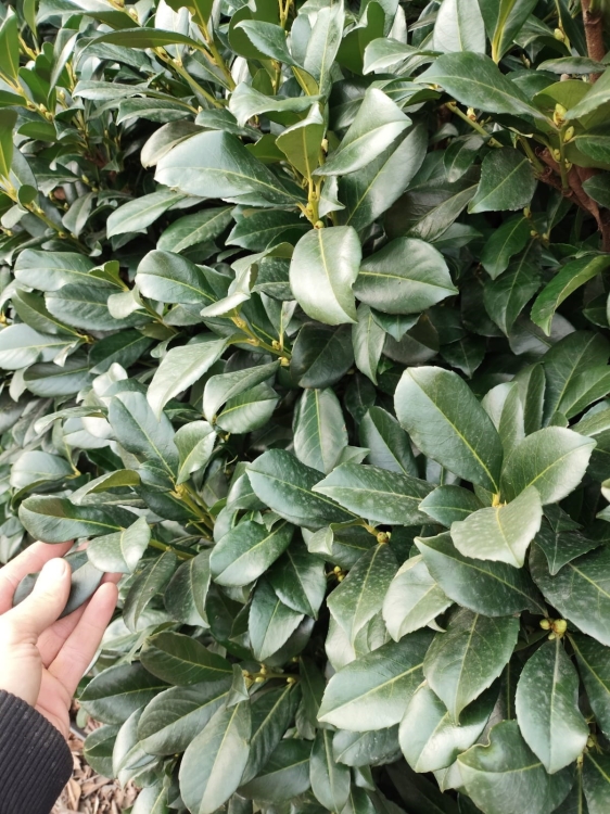 IMG-20250227-WA0007.jpeg