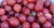 gooseberry-1534480_1920.jpg