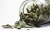 spices-2984418_1920.jpg