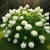Gemini_Generated_Image_k8lbpk8lbpk8lbpk.jpg