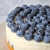 blueberry-320758_1920.jpg