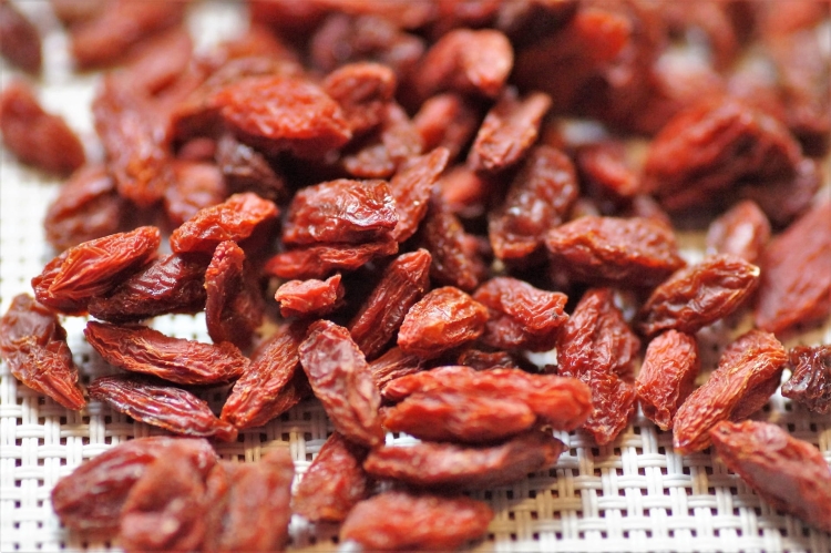 goji-3162716_1920.jpg